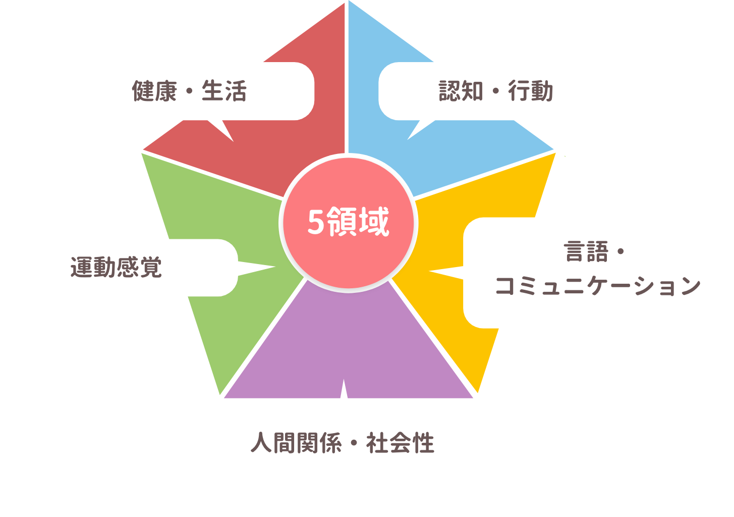 5領域支援プログラム